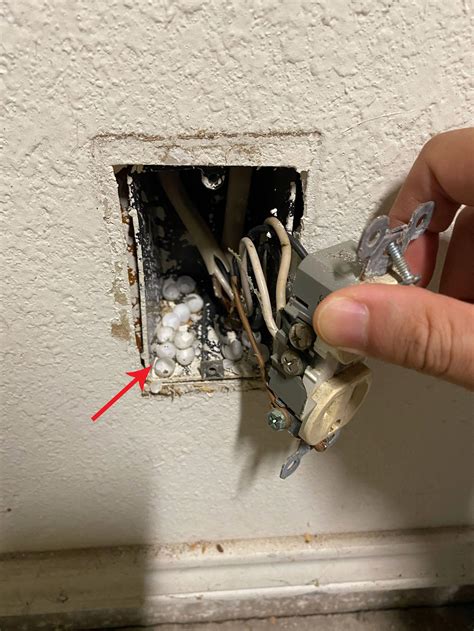 small eggs in junction box|white eggs under wall outlet.